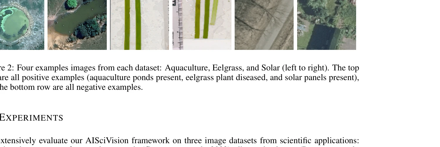 Figure 2: 세 가지 과학 이미지 분류 데이터셋