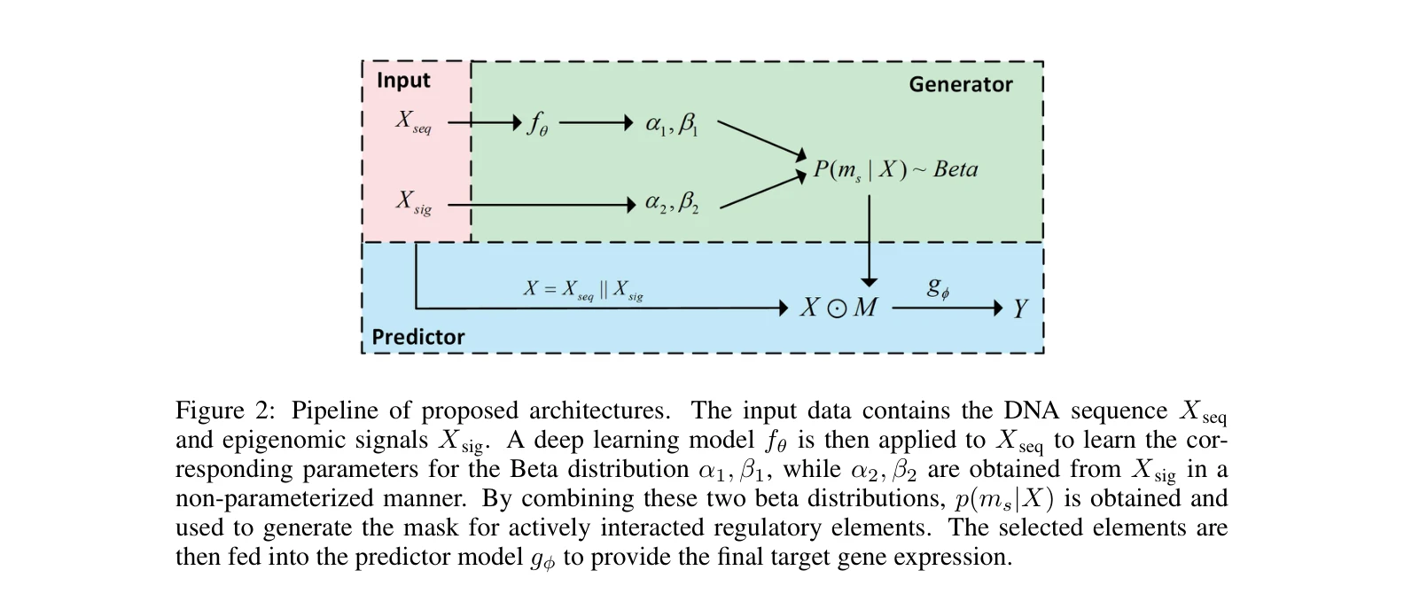 Figure 2: Pipeline of proposed architectures. The input data contains the DNA sequence Xseq